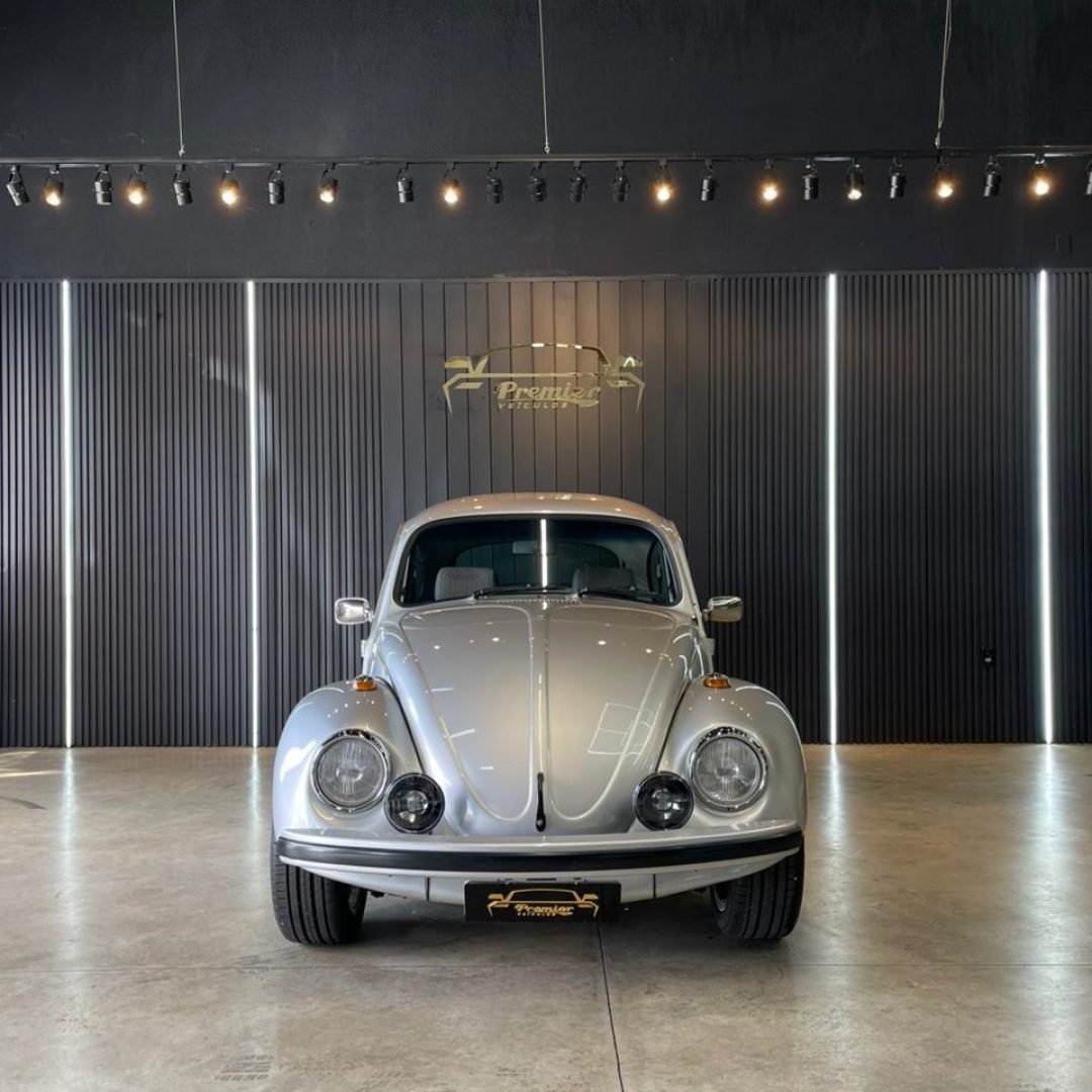 IMG-20251110-WA0003 - Copia