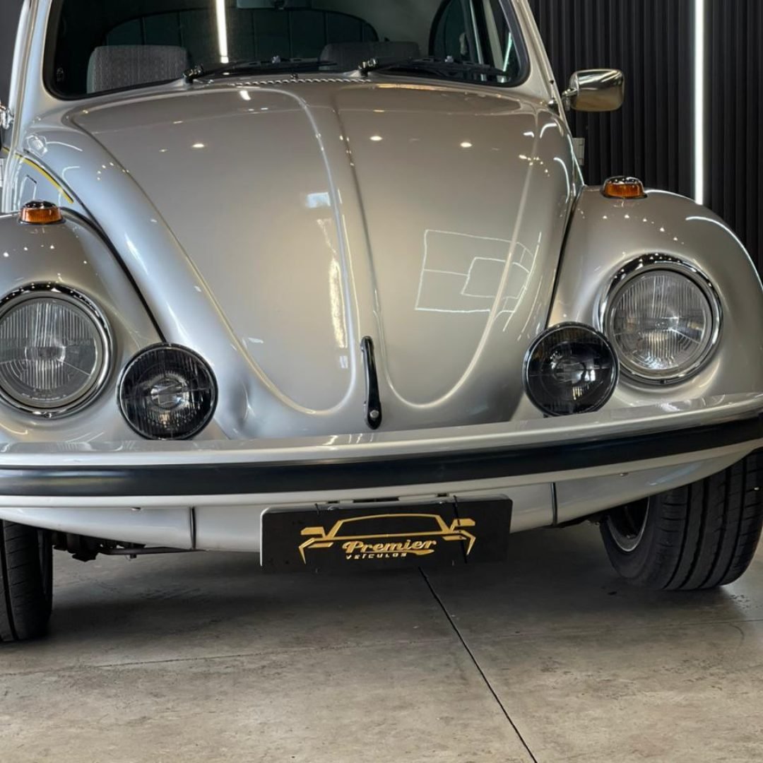 IMG-20251110-WA0004 - Copia