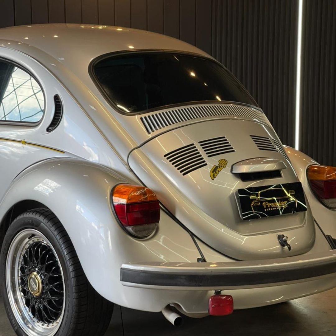 IMG-20251110-WA0011 - Copia