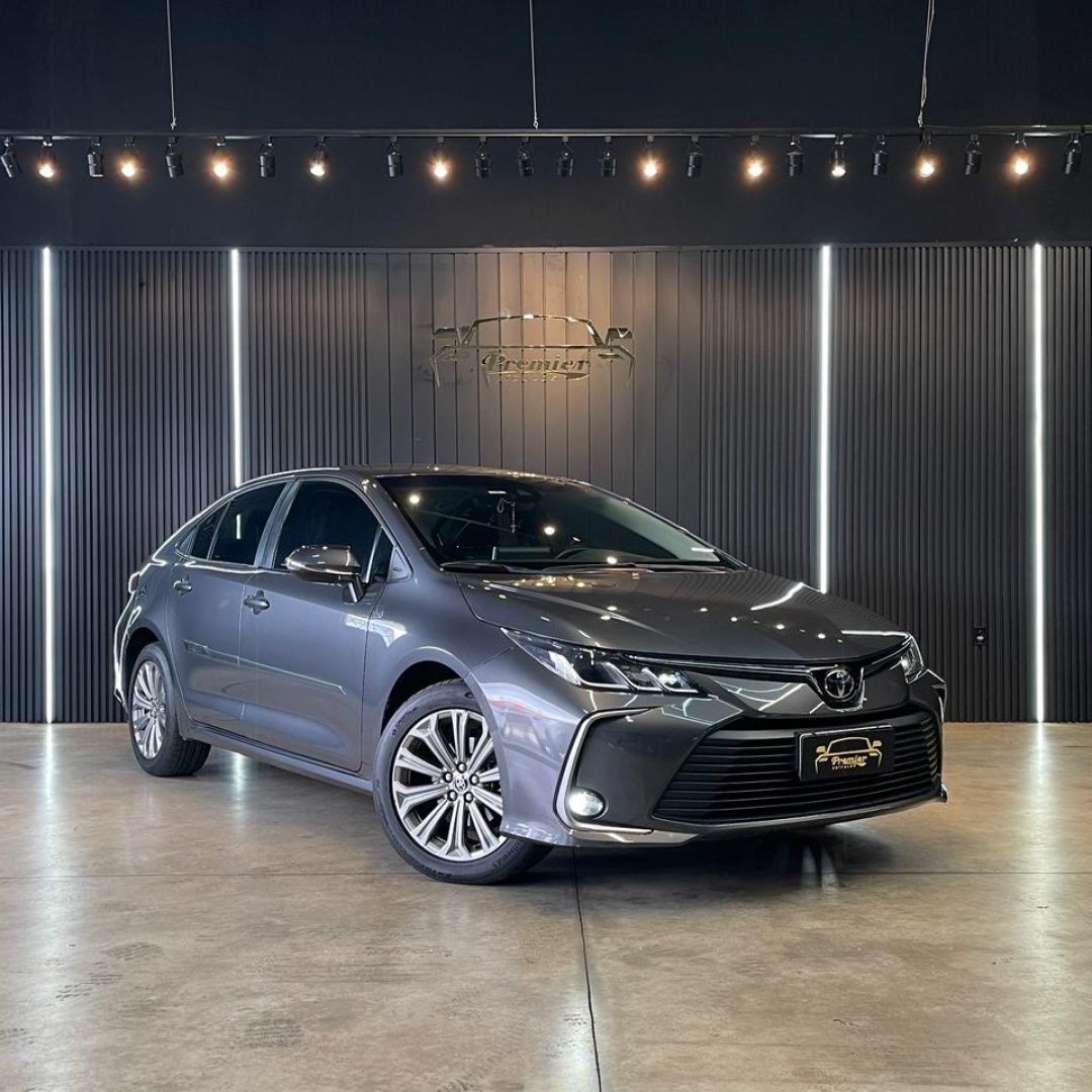 WhatsApp Image 2026-01-26 at 15.45.09