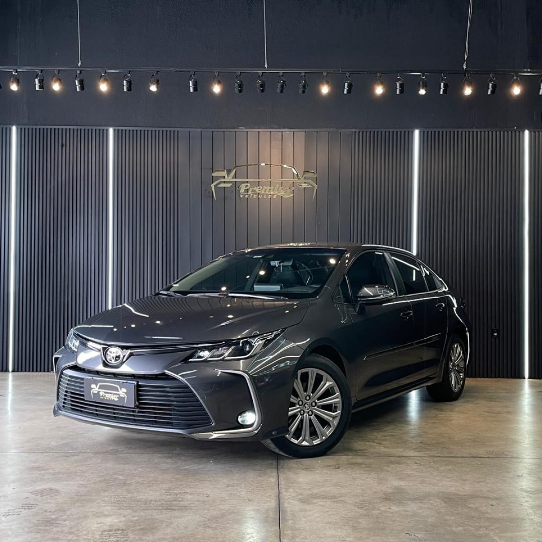 WhatsApp Image 2026-01-26 at 15.45.10