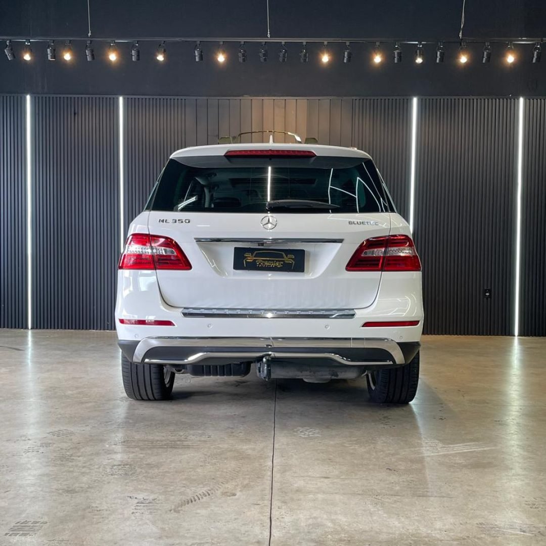 WhatsApp Image 2026-01-29 at 17.55.16