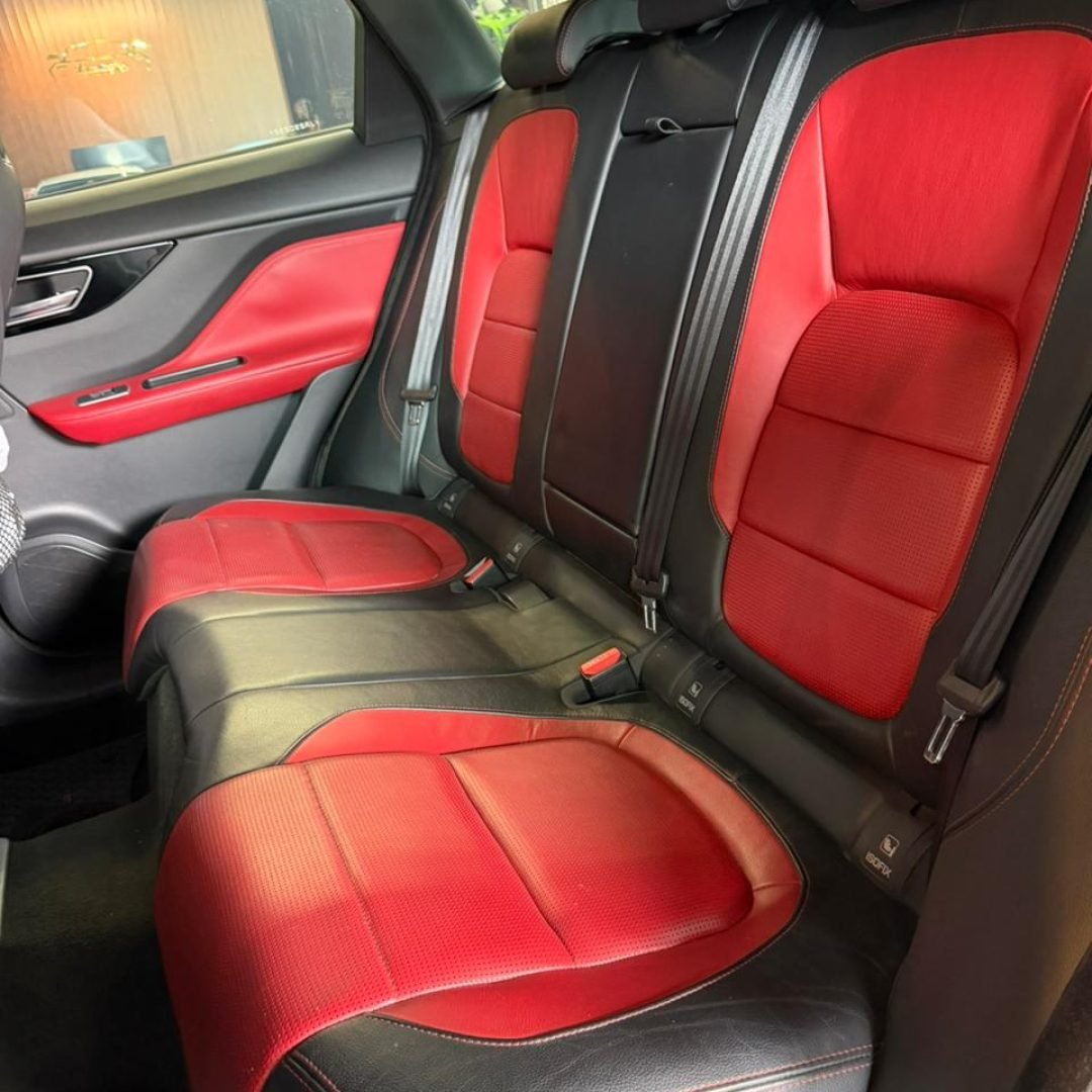 WhatsApp Image 2026-02-02 at 23.28.26 (1)