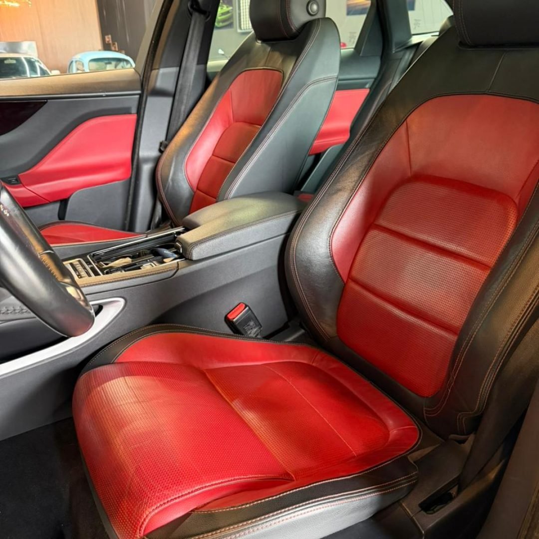 WhatsApp Image 2026-02-02 at 23.28.26